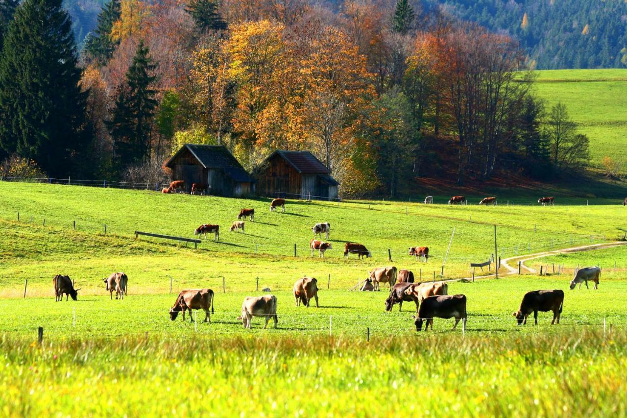 Haus Stangl Lägenhet Bad Aussee Exteriör bild